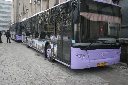 Новые автобусы к чемпионату